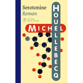 Serotonine: roman
