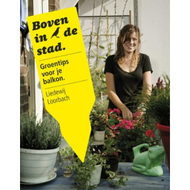 Boven in de stad