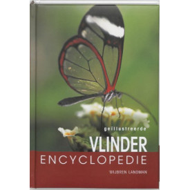 Vlinder Encyclopedie