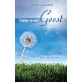 Vallen in de Geest: wat is het? Is het bijbels? En wat moeten we ermee?