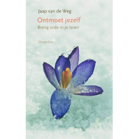 Werk van het hart: over de leugen, de afgrond en de liefde