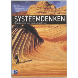 Systeemdenken: Ontdekken van onze organisatiepatronen