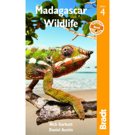 Madagascar Wildlife (Bradt Guides)