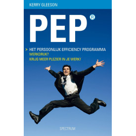 Het persoonlijk efficiency programma: werkdruk? Krijg meer plezier in je werk! (Dutch Edition)