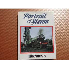 Portrait of Steam