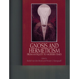 Gnosis and Hermeticism from Antiquity to Modern Times (SUNY Series in Western Esoteric Traditions)