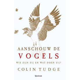 Aanschouw de vogels: wie zijn zij en wat doen zij?