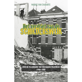 Het verdriet van de Schilderswijk