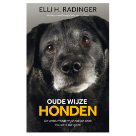 Oude wijze honden: de verbluffende wijsheid van onze trouwste metgezel