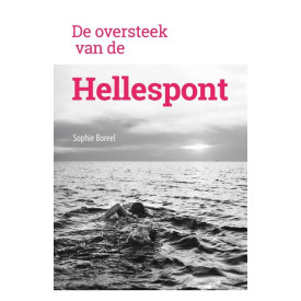 De oversteek van de Hellespont