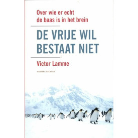 De vrije wil bestaat niet: over wie er echt de baas is in het brein