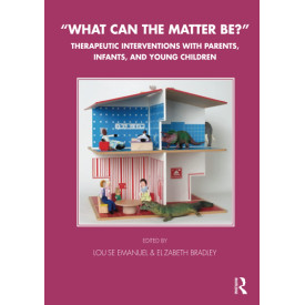 What Can the Matter Be?: Therapeutic Interventions with Parents, Infants and Young Children (Tavistock Clinic Series)