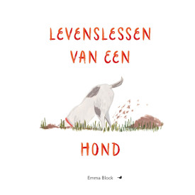 Levenslessen van een hond