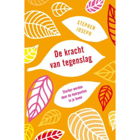 De kracht van tegenslag: sterker worden door de keerpunten in ons leven