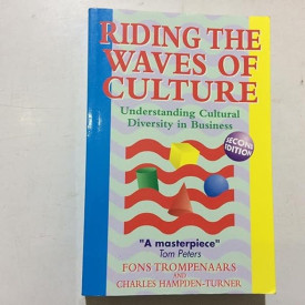 Riding the Waves of Culture : Understanding Cultural Diversity in Business