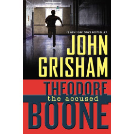 Theodore Boone: the Accused