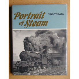 Portrait of Steam
