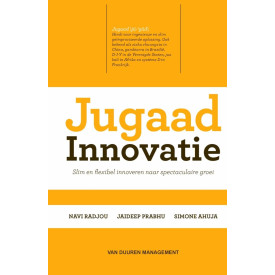 Jugaad Innovatie: Slim en flexibel innoveren naar spectaculaire groei