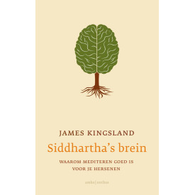 Siddhartha's brein: waarom mediteren goed is voor je hersenen