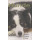 Hunde