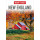 Insight Guides New England (Insight Guides, 21)