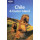 Chile & Easter Island 8 (Lonely Planet Chile and Easter Island)