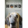 De wereld van de hond: Wat honden zien, ruiken en weten