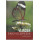 Vlinder Encyclopedie