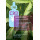 CBD – Cannabidiol (Dutch Edition)