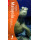Footprint Malaysia Handbook (4th Edition)