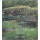 IMPRESSIONISTISCHE TUIN