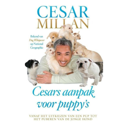 Cesars aanpak voor puppy's