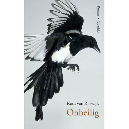Onheilig: Roman (Dutch Edition)