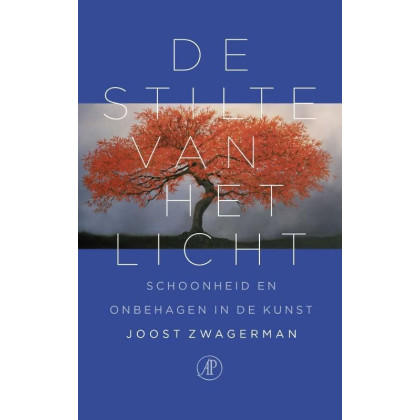 De stilte van het licht: schoonheid en onbehagen in de kunst (Dutch Edition)