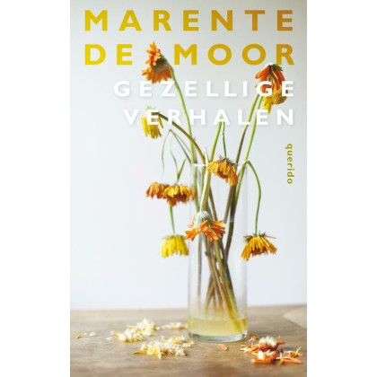 Gezellige verhalen (Dutch Edition)