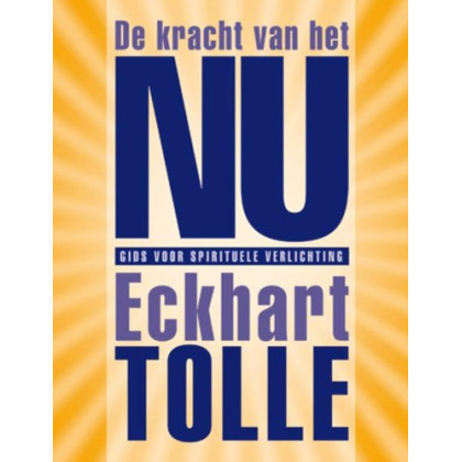 De kracht van het NU: gids voor spirituele verlichting