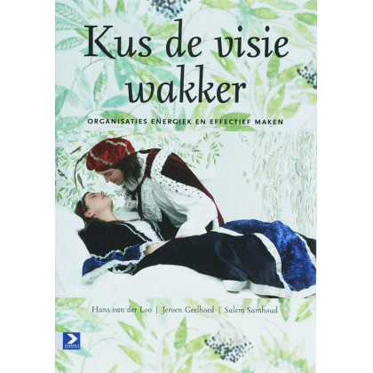 Kus de visie wakker: organisaties energiek en effectief maken