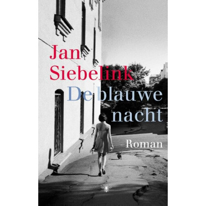De blauwe nacht: roman (Dutch Edition)