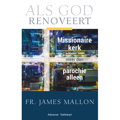 Als God renoveert, Missionaire kerk meer dan de parochie alleen