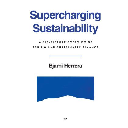 Supercharging Sustainability: A Big-Picture Overview of ESG 2.0 and Sustainable Finance