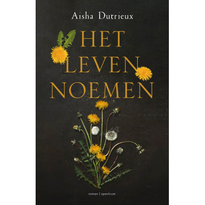 Het leven noemen: roman