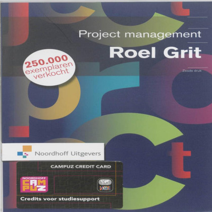 Projectmanagement: projectmatig werken in de praktijk