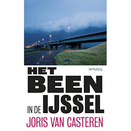 Het been in de IJssel