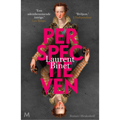 Perspectieven: roman