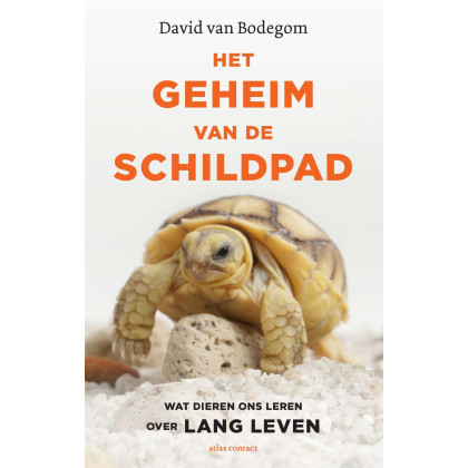 Het geheim van de schildpad: wat dieren ons leren over lang leven