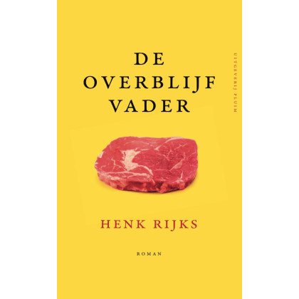 De overblijfvader: roman