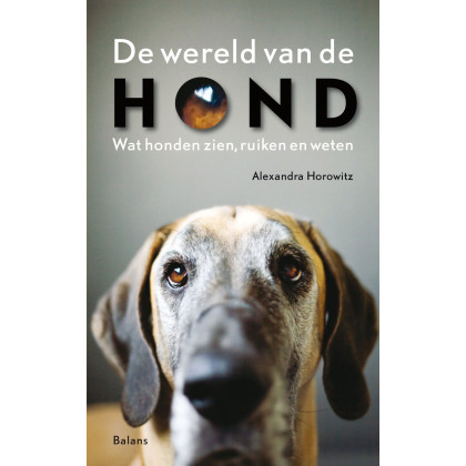 De wereld van de hond: Wat honden zien, ruiken en weten