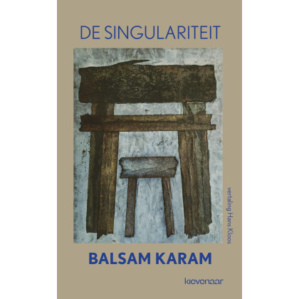 De singulariteit