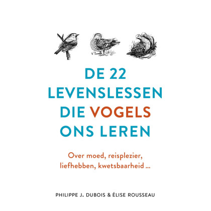 De 22 levenslessen die vogels ons leren: over moed, reisplezier, liefhebben, kwetsbaarheid