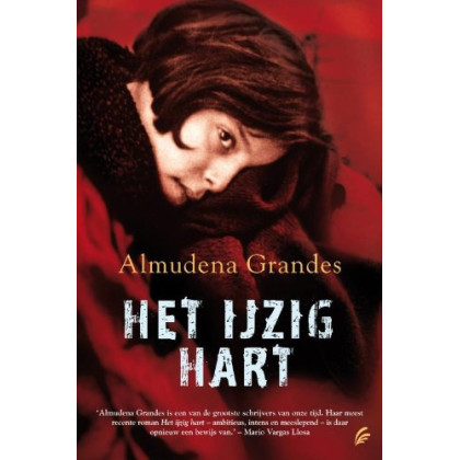 Het ijzig hart